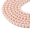 Preciosa® MAXIMA Crystal Nacre Pearls X-PRC-NPA12-77800-4