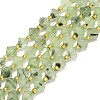 Natural Prehnite Beads Strands G-I376-B12-01-1