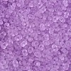 FGB Frosted Transparent Glass Seed Beads SEED-N013-06A-07-3