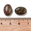 Natural Jasper Cabochons G-C152-15-3