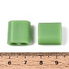 ABS Plastic Beads OACR-N156-07H-3