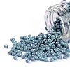 TOHO Round Seed Beads SEED-XTR11-1206-1