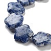 Natural Blue Spot Jasper Beads Strands G-F769-D01-02-4