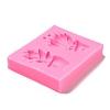 Food Grade Silicone Molds DIY-I078-15-4