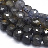 Natural Iolite Beads Strands G-D0013-31-3