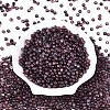 Baking Paint Glass Beads DGLA-T005-01A-08-1