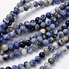 Natural Sodalite Beads Strands G-S279-10-6mm-2