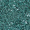 FGB 11/0 Grade A Glass Seed Beads X-SEED-S030-1216-2