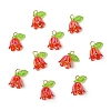 Transparent Acrylic Pendants PALLOY-YW00081-10-1
