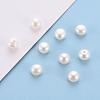 Natural Cultured Freshwater Pearl Beads PEAR-P056-059B-6