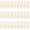 GOMAKERER 30Pcs Brass Earring Hooks KK-GO0001-70-1