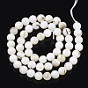 Natural Freshwater Shell Beads Strands X-SHEL-T011-01-8mm-2