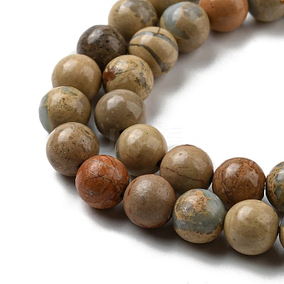 Natural Aqua Terra Jasper Beads Strands G-E444-14B-8mm-1