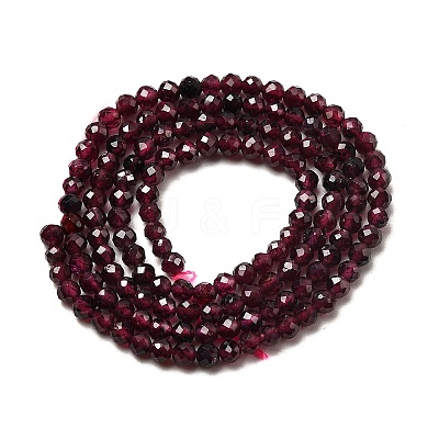 Natural Garnet Beads Strands X-G-I341-09B-01-1
