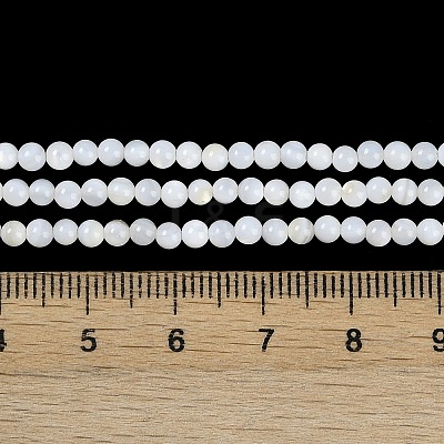 Natural Cultured Freshwater Shell Beads Strands BSHE-H109-03A-1
