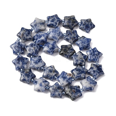 Natural Blue Spot Jasper Beads Strands G-K359-E11-1