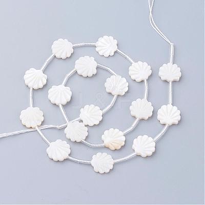 Natural White Shell Beads SSHEL-Q298-06-1