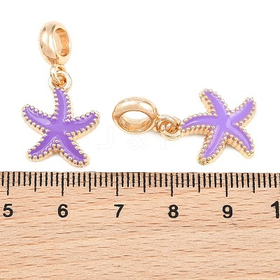 Alloy Enamel European Dangle Charms AL-CBAC2D3-02G-02-1