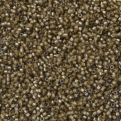 MIYUKI Delica Beads X-SEED-J020-DB0288-1