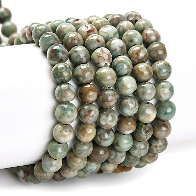 Natural Maifanite/Maifan Stone Beads Strands G-P451-01C-E-1