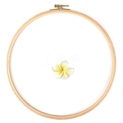Wood Cross Stitch Embroidery Hoops PW-WG79288-08-1