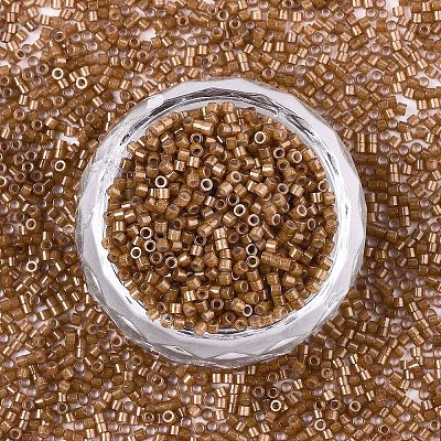 FGB 11/0 Grade A Baking Paint Glass Seed Beads X-SEED-S030-1146-1