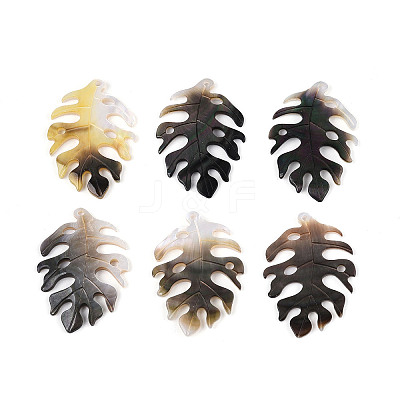 Natural Black Lip Shell Pendants SHEL-R100-07A-1