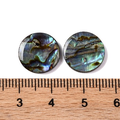Natural Paua Shell Epoxy Resin Cabochons SSHEL-S279-01A-1