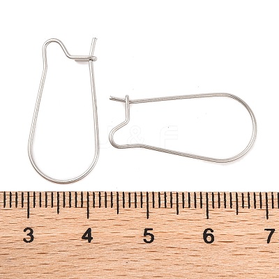 Non-Tarnish 316 Surgical Stainless Steel Hoop Earrings Findings Kidney Ear Wires X-STAS-E009-5-1