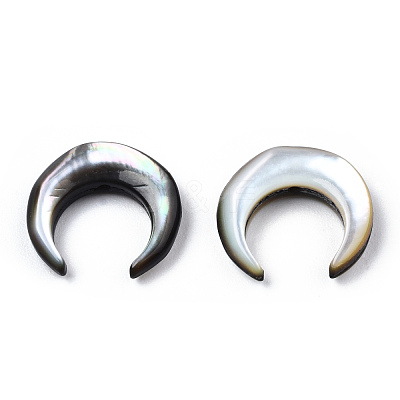 Natural Shell Bead sets SSHEL-N034-122B-1