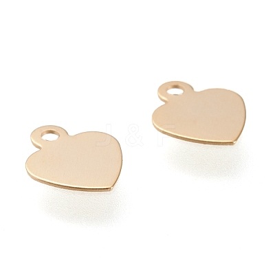 304 Stainless Steel Charms STAS-K195-13G-1