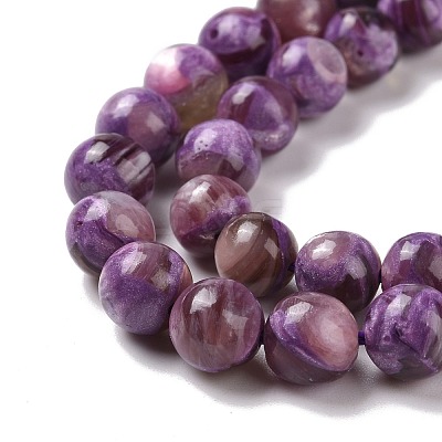 Natural Lepidolite/Purple Mica Stone Beads Strands G-G925-03C-1