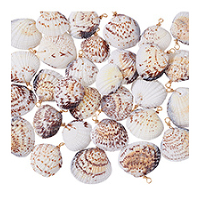 30Pcs Natural Shell Pendants PALLOY-PH01839-1