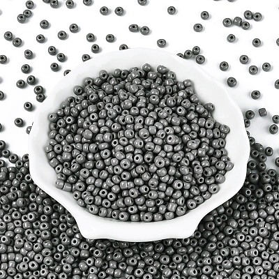 6/0 Baking Paint Glass Round Seed Beads SEED-S036-01C-09-1