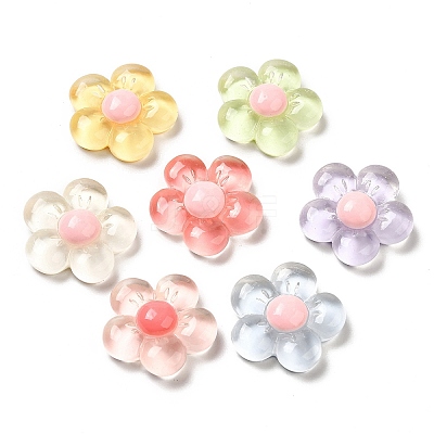 Translucent Resin Cabochons RESI-C034-04-1