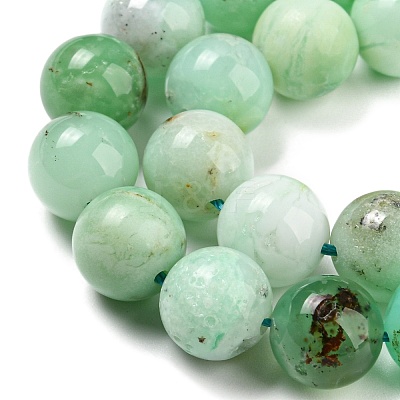 Natural Chrysoprase Beads Strands G-P503-10MM-03-1