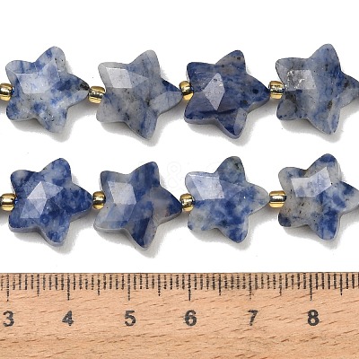 Natural Blue Spot Beads Strands G-P573-C45-01-1