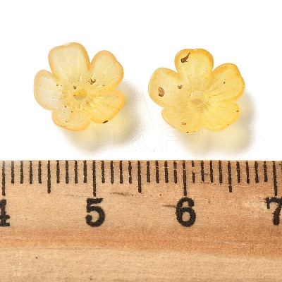 Acrylic Bead Caps OACR-Z028-03D-1