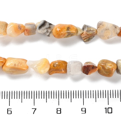 Natural Crazy Agate Beads Strands G-P497-01C-08-1