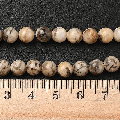 Natural Feldspar Beads Strands G-S259-26-6mm-1
