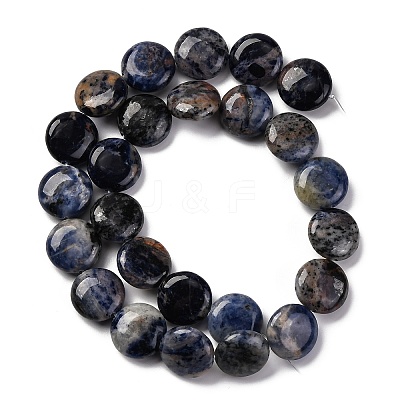 Natural Sodalite Beads Strands G-C159-A09-01-1