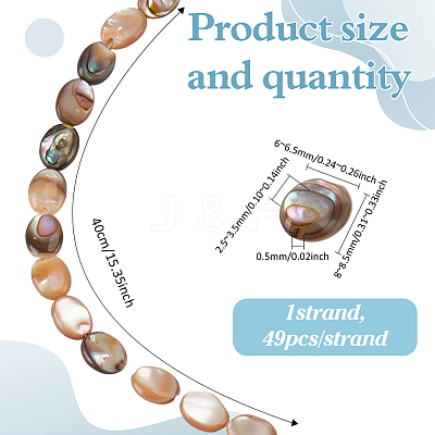 1 Strand Natural Paua Shell Beads Strands BSHE-ME0001-05-1