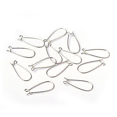 Brass Hoop Earrings Findings Kidney Ear Wires EC221-1