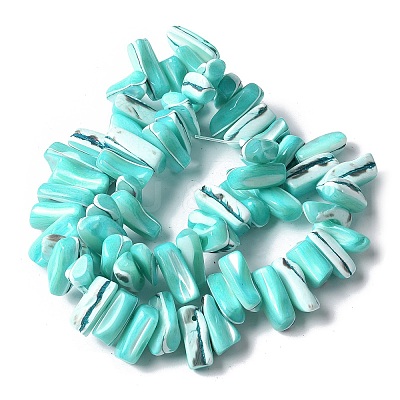 Dyed Natural Trochus Shell Beads Strands SSHEL-C013-09M-1