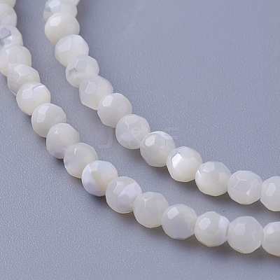 Shell Beads Strands SSHEL-E571-38-3mm-1