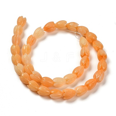 Synthetic Shell Dyed Carved Beads Strands SHEL-K007-08B-03-1