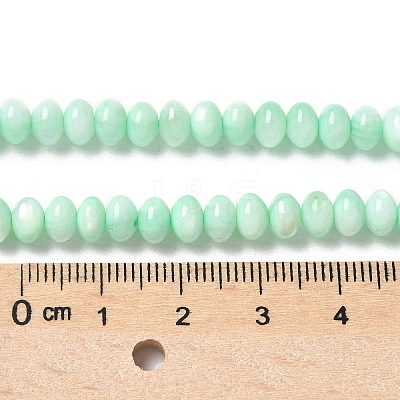 Natural Freshwater Shell Beads Strands SSHEL-C013-07D-1