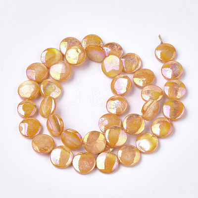 Freshwater Shell Beads Strands SHEL-S274-52D-1