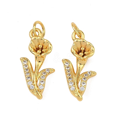 Brass Micro Pave Clear Cubic Zirconia Pendants KK-F941-35B-G-1