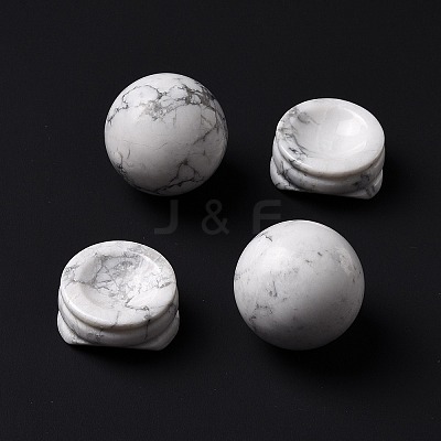 Natural Howlite Display Decorations DJEW-G032-02J-1